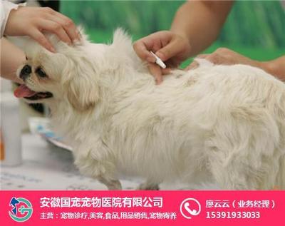 寵物健康與全面關(guān)懷 診療與用品銷售的雙重保障