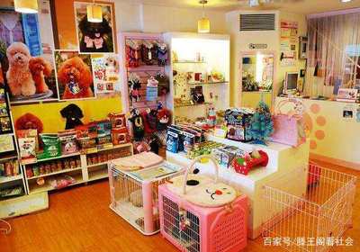 為您揭開最近幾年比較熱門生意背后的行業(yè)秘密