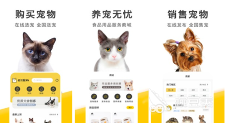 2022年市面上好用的買貓軟件及寵物用品銷售平臺推薦