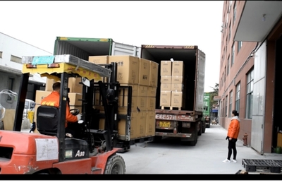 寵物用品選擇指南 弋寵之家助您科學選購與銷售