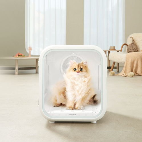 攜手藝術家聯名跨界，霍曼以智能科技重塑寵物用品新高度