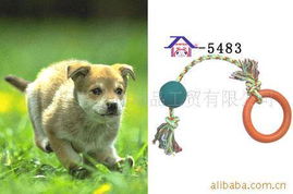 廈門安芬寵物用品工貿 精選寵物玩具產品列表與銷售指南