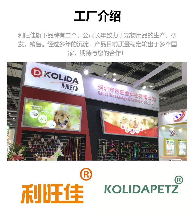 云端漫步，色彩相伴 亞馬遜新款寵物頸圈牽引繩套裝如何以馬卡龍色創意征服市場