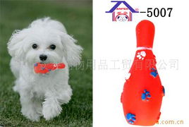 廈門安芬寵物用品工貿(mào) 創(chuàng)新寵物玩具與高品質(zhì)寵物用品全覽