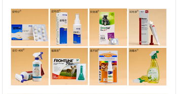 高效提升寵物用品銷量的關聯銷售策略與設計素材應用指南