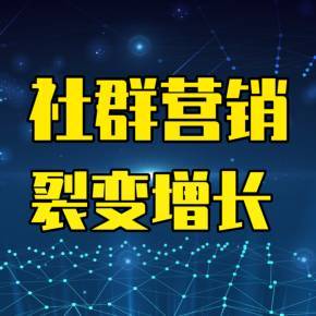 裂變增長與社群營銷 企業(yè)營銷策劃實戰(zhàn)指南