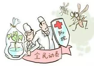 防止蚊蟲傳播疾病 福州加大消殺力度 預(yù)防登革熱 這些事我們要做好