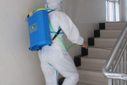 秦皇島專業(yè)滅鼠除四害服務(wù) 守護健康家園的全面解決方案